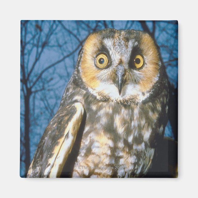 Specklad egen magnet (Framsidan)