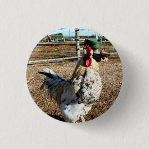 Specklad Farm Tupp, Badge Knapp