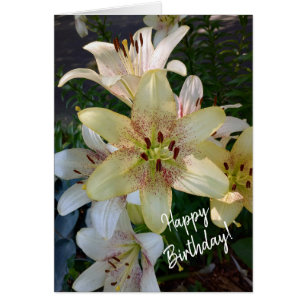 Specklad Gult Lily Flowers Birthday Card Hälsningskort