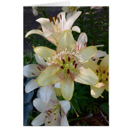 Specklad Gult Lily Flowers-Grattis Card Hälsningskort