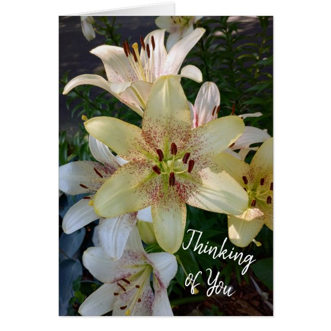 Specklad Gult Lily Flowers tänker på ditt kort (Framsidan)