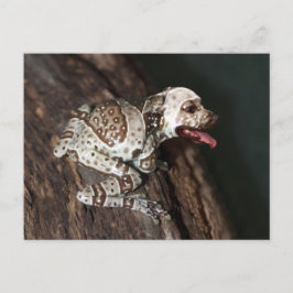 Specklad personal vykort