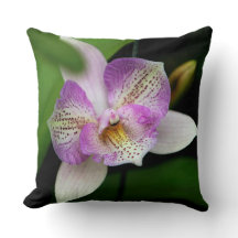 Specklad Rosa Orchid