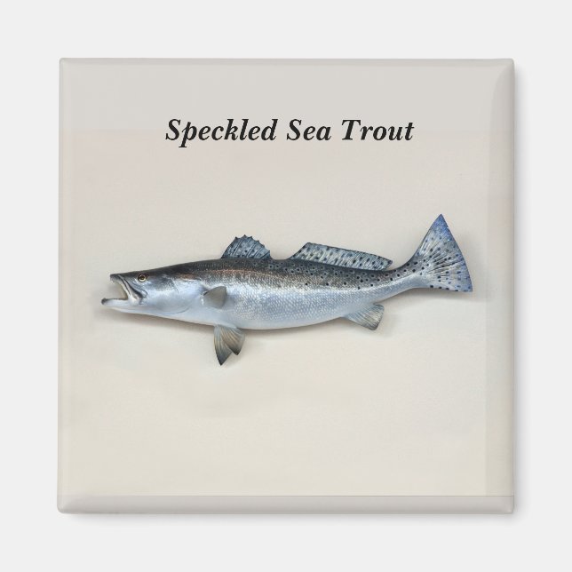 Specklad Sea Trout Magnet (Framsidan)