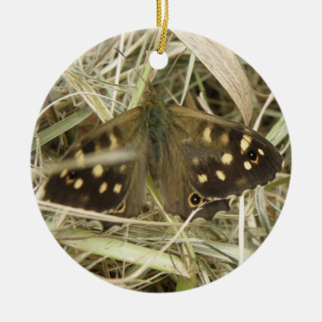 Specklad Wood Butterfly Ornament (Framsidan)