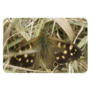 Specklad Wood Butterfly Premium Magnet