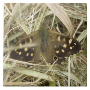 Specklad Wood Butterfly Tile Kakelplatta