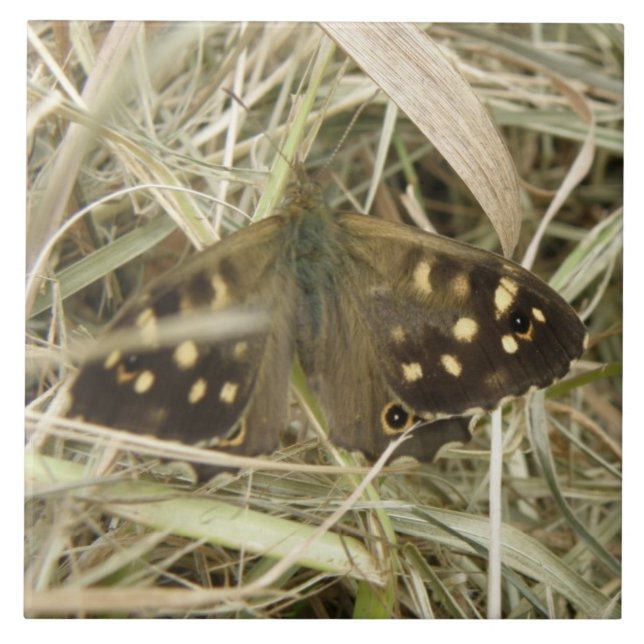 Specklad Wood Butterfly Tile Kakelplatta (Framsidan)