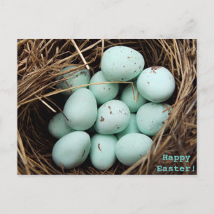 Specklade Påskägg, äkta fågelfoto Helg Vykort