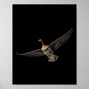 Specklebelly Goose Shirt White Fronous Goose Byr B Poster