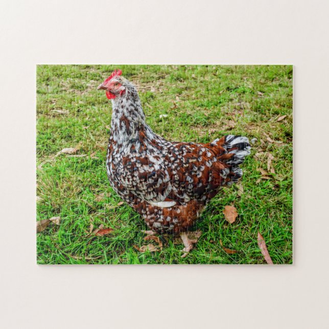 Speckled Sussex Calico Chicken Hen Pussel (Horisontell)