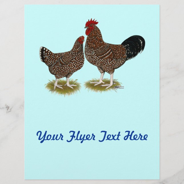 Speckled Sussex Chickens Reklamblad (Framsidan)