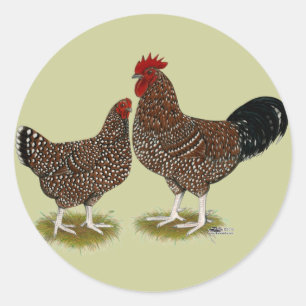 Speckled Sussex Chickens Runt Klistermärke