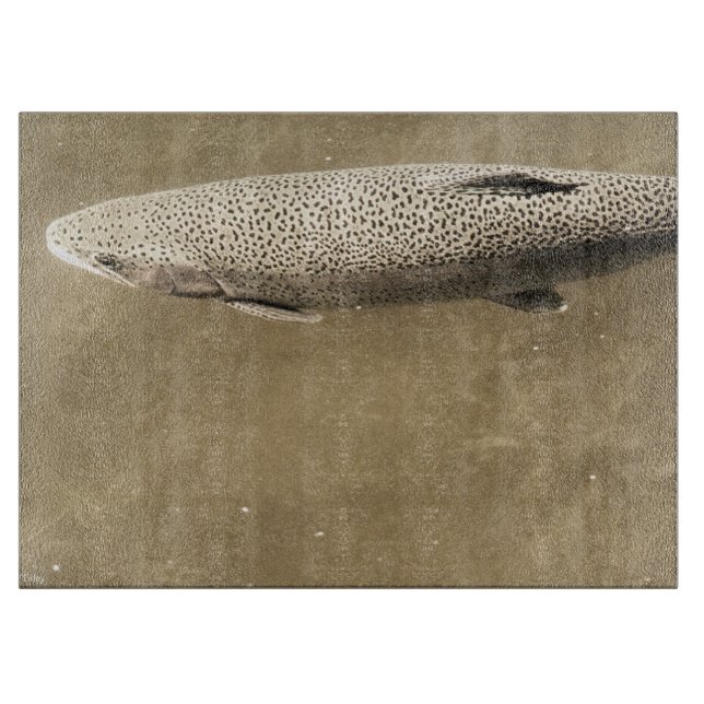 Speckler (Framsidan)