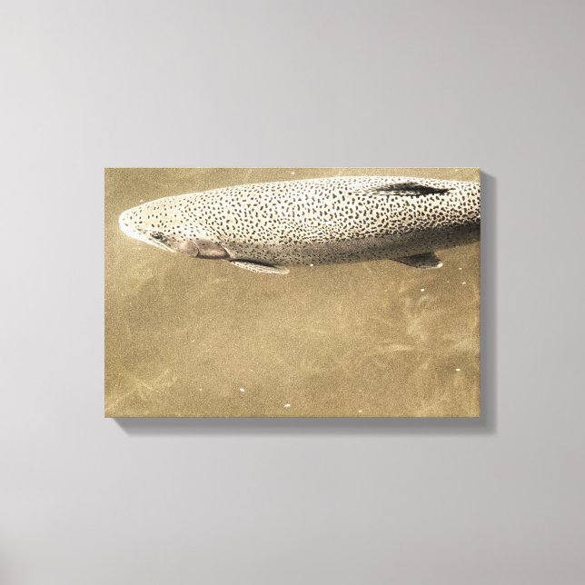 Speckler Canvastryck (Framsida)