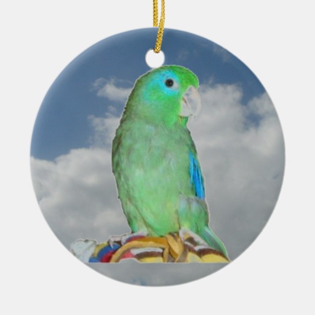 Spectacreds Parrotlet Julgransprydnad Keramik (Framsidan)