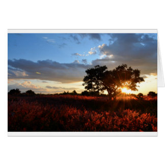 Spectacular African Sunset Hälsningskort
