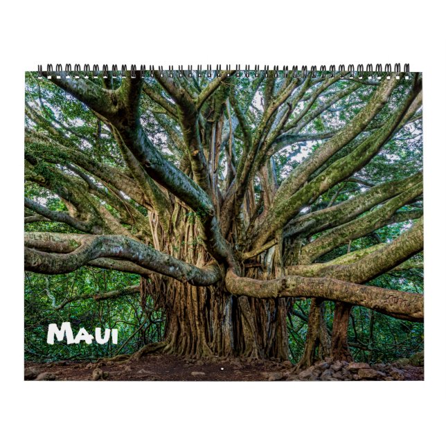 Spectacular Maui Kalender (Omslag)