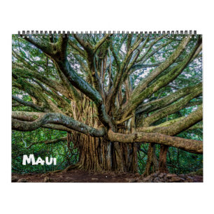 Spectacular Maui Kalender