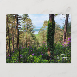 Spectakulär Killarney- Irland Vykort