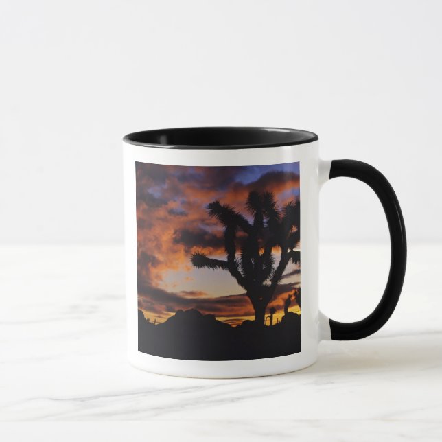 Spectakulär soluppgång vid Joshua Tree National Mugg (Höger)
