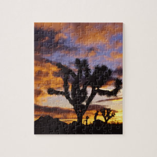 Spectakulär soluppgång vid Joshua Tree National Pa Pussel