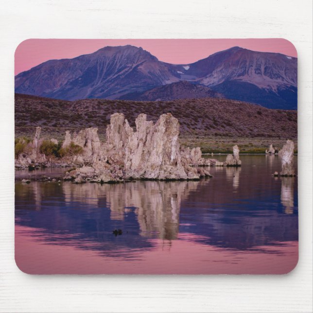 Spectakulära Mono Lake i skuggan Musmatta (Framsidan)