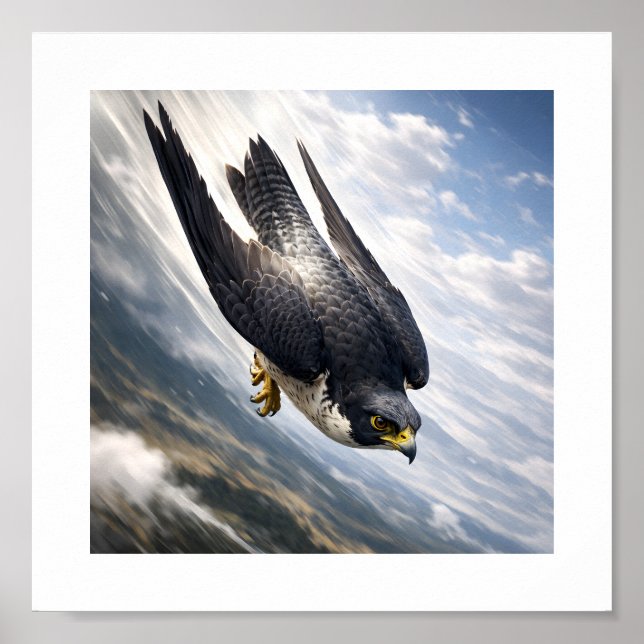 Speed of the Sky – Peregrine Falcon in Descent Poster (Framsidan)
