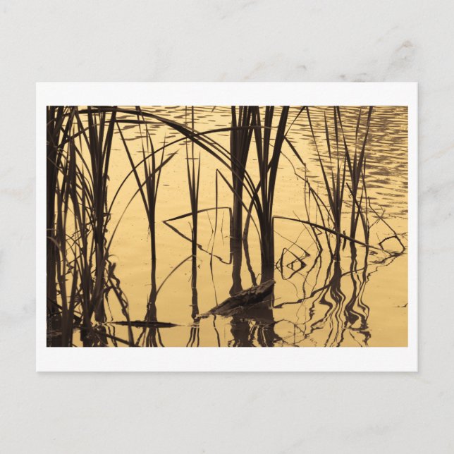 spegel är en lögnare vykort (Framsida)