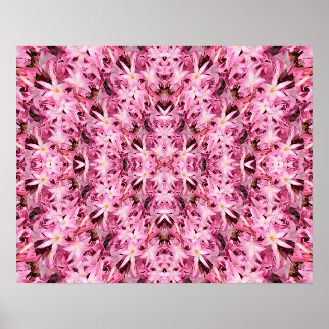 Spegel av Amaryllis... Poster (Framsidan)