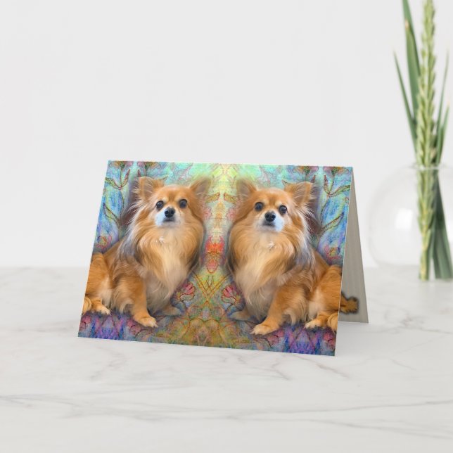 Spegel bild av Long Hair Chihuahua-födelsedagen Kort (Framsida)