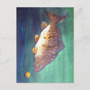 Spegel carp vykort