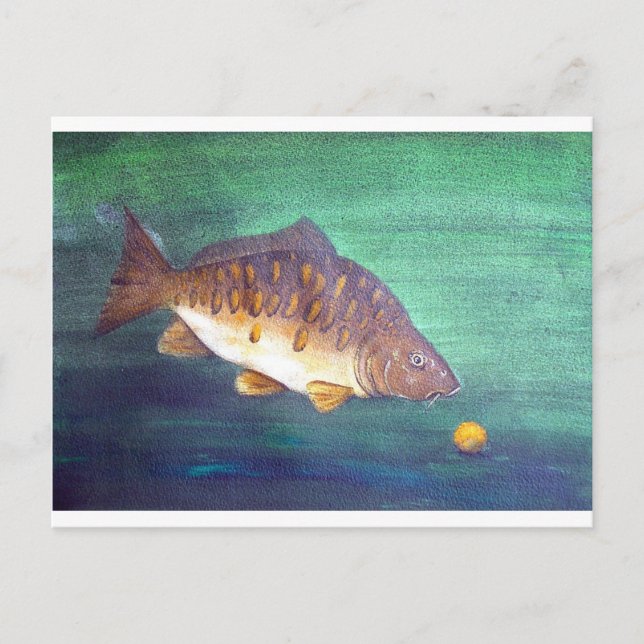 Spegel carp vykort (Framsida)