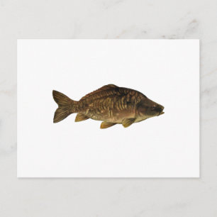 Spegel Carp Vykort