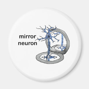 Spegel Neuron Magnet