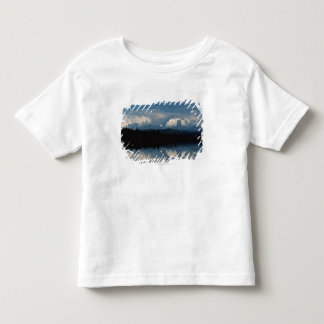 Spegel sjöhorisont med skogen & snöig berg tee