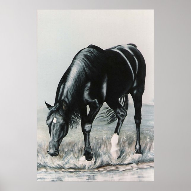 Spegel, Spegel.....tryck Poster (Framsidan)