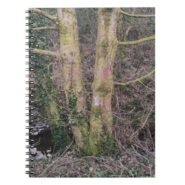 Spegel Träd anteckningsbok (Framsidan)