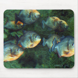 Spegelförsedd Piranha Musmatta