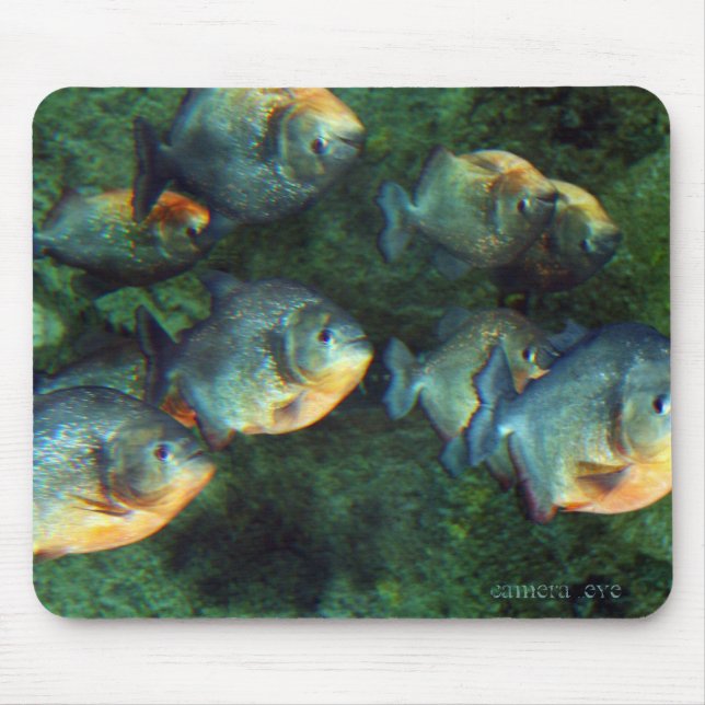 Spegelförsedd Piranha Musmatta (Framsidan)