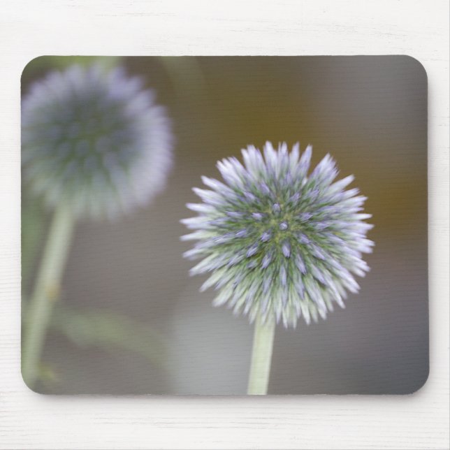 Spegelförsedda Thistles Mousepad Musmatta (Framsidan)