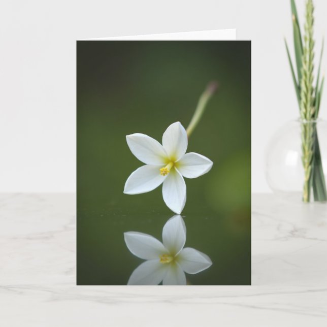 Spegeln Emerald Bloom-kort Kort (Framsida)