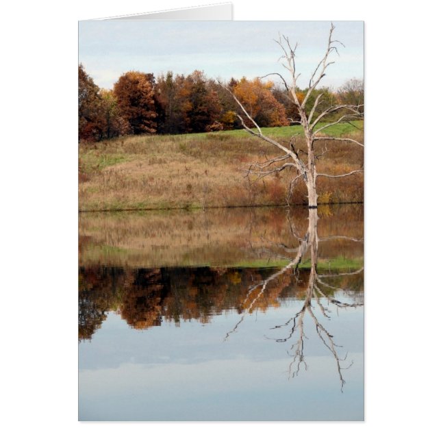 Spegla Hälsningskort (Framsidan)