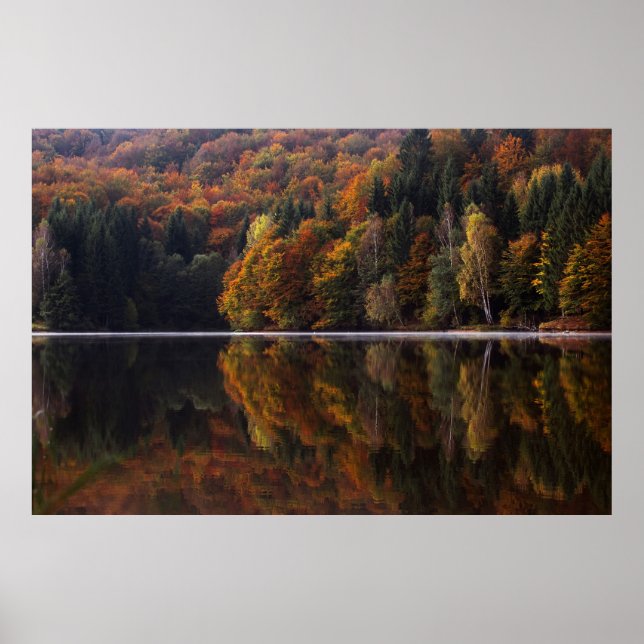 Speglat Färg Poster (Framsidan)