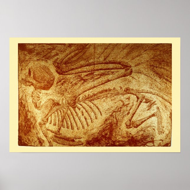 Speimen #2: Sphinx Fossil Poster (Framsidan)