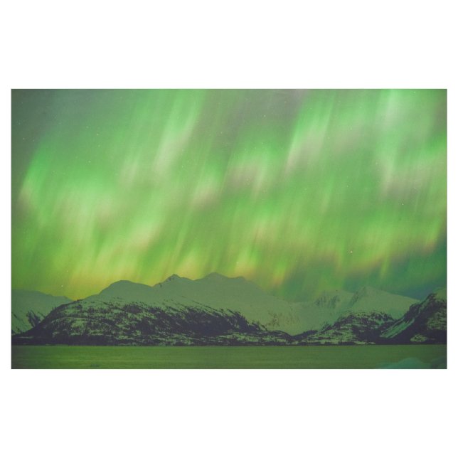 Spektakulär Aurora Tyg (Yard)