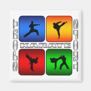 Spektakulär Karate Magnet