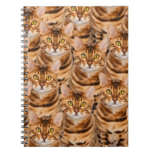 Spektakulära Bengal kattungar Anteckningsbok