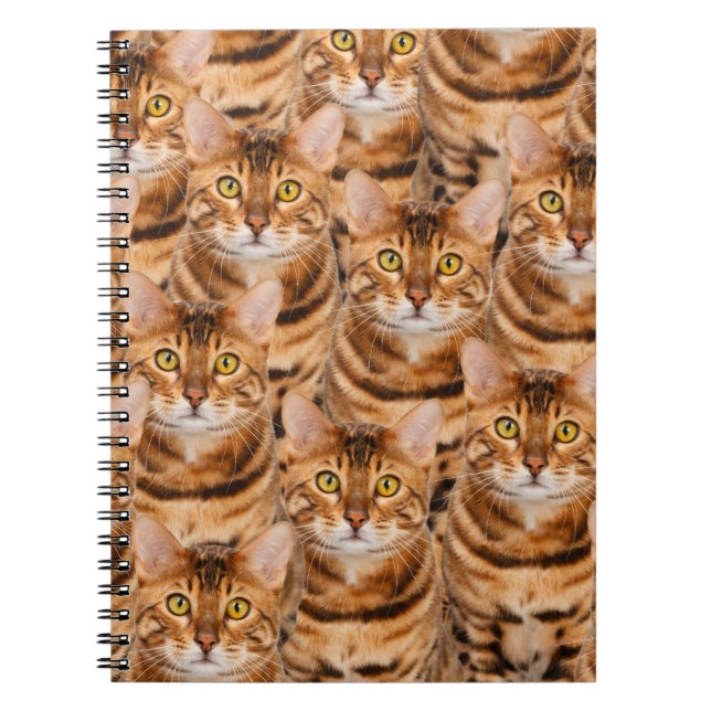 Spektakulära Bengal kattungar Anteckningsbok (Framsidan)