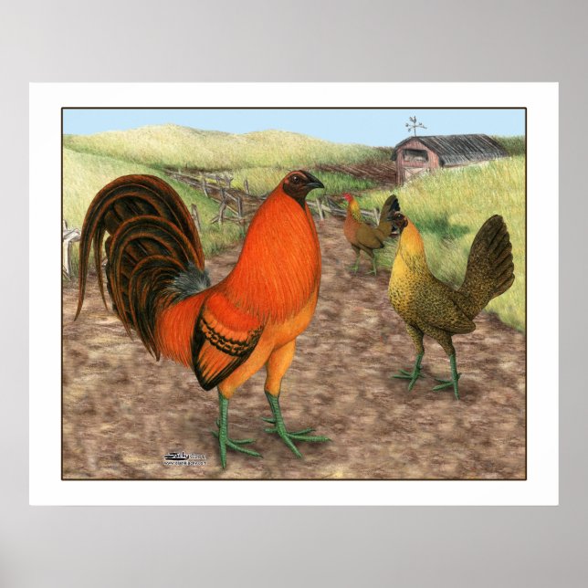 Spel Fowl på gården Poster (Framsidan)